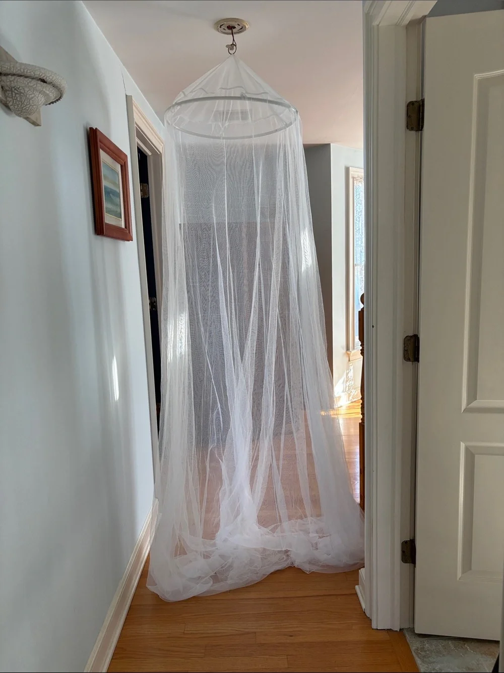 IKEA Sheer Net Canopy for Princess Bed